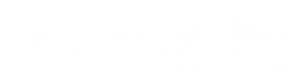 Silicon Harlem