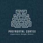 Prefontal Cortex